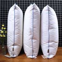 Cheap wholesale 100% microfiber fabric 700g polyester pillow insert